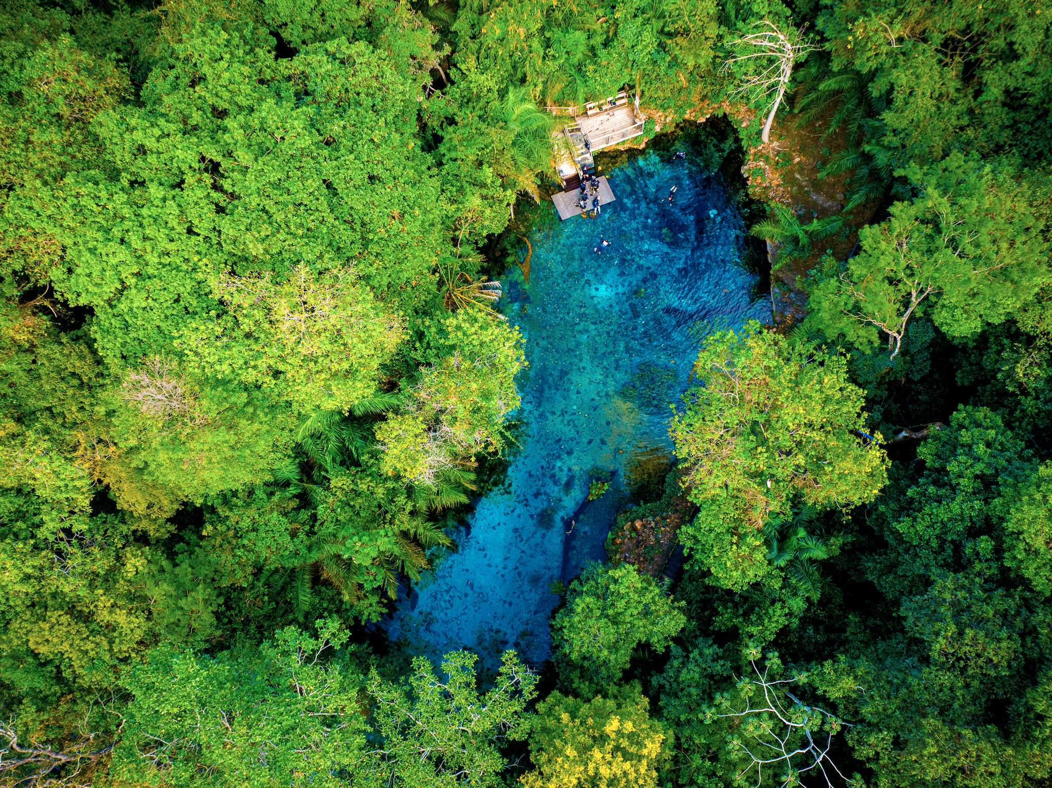 Bonito entra nas tendências de viagem para 2027 do Skyscanner, com a Nascente Azul como o atrativo mais visitado