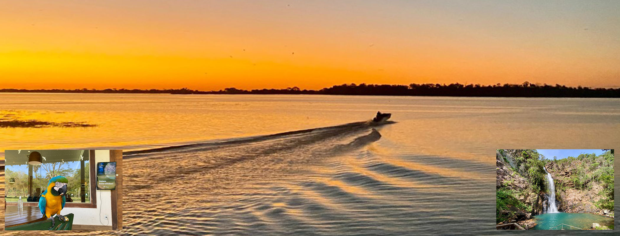 AAAAAAAAAAAAAAAAAAAAAAAAAAAAAAAAAAAAAAAAAAAAAAAAAAAAAAAAAAAAAAAAAAAAMato Grosso Pantanal