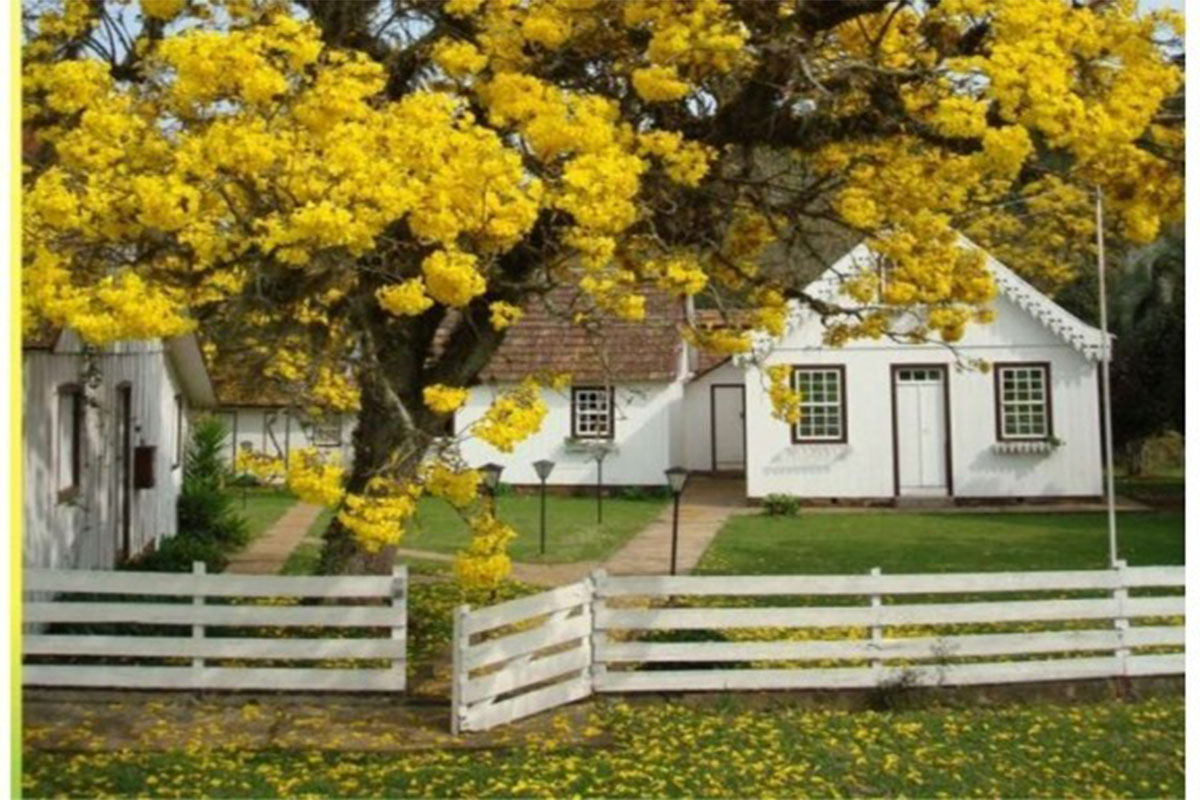 FAZENDA IPÊ