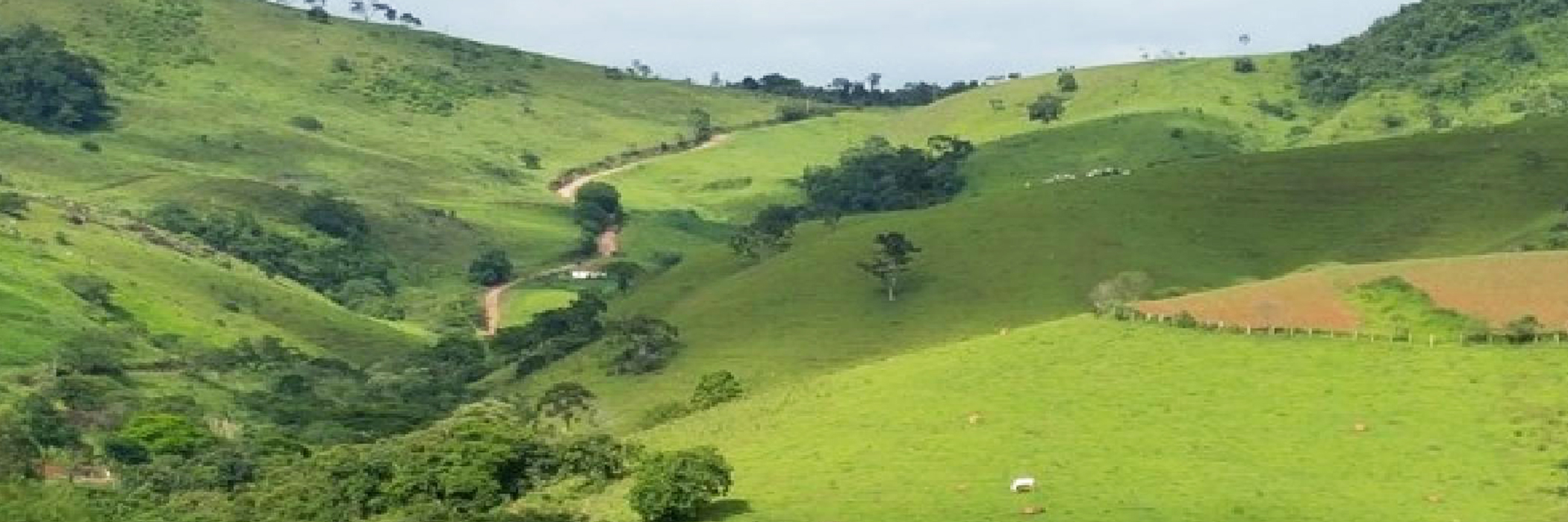 CAMINHO DA FÉ ROTEIRO