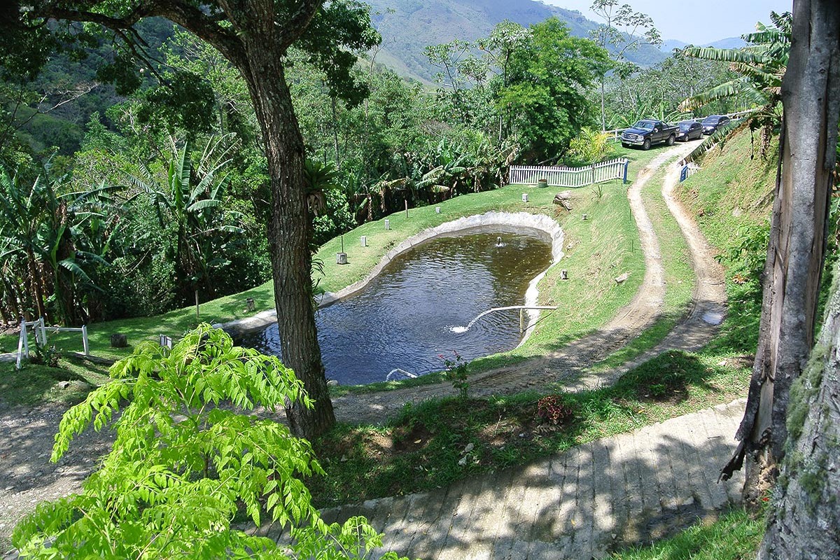 Pesqueiro E Restaurante Serra Azul