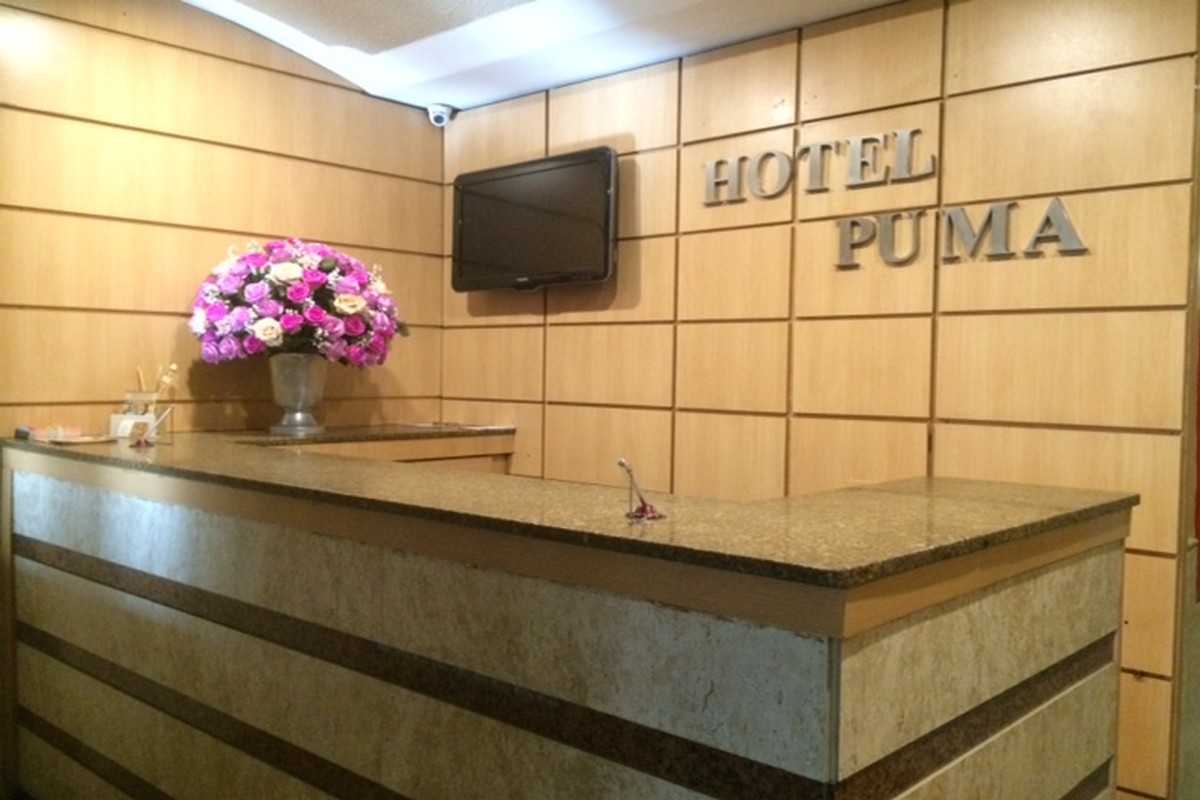 Hotel Puma