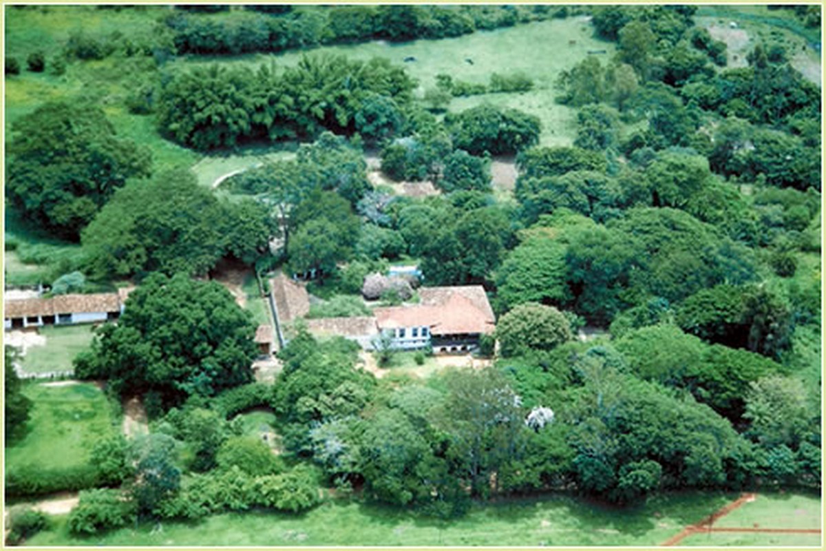 FAZENDA NOVA