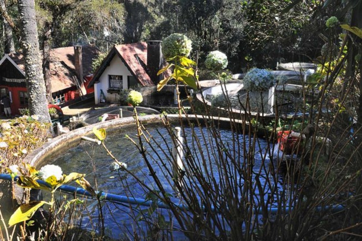 Restaurante Paulo das Trutas