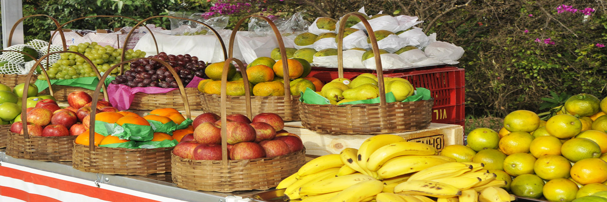 CIRCUITO DAS FRUTAS ROTEIRO