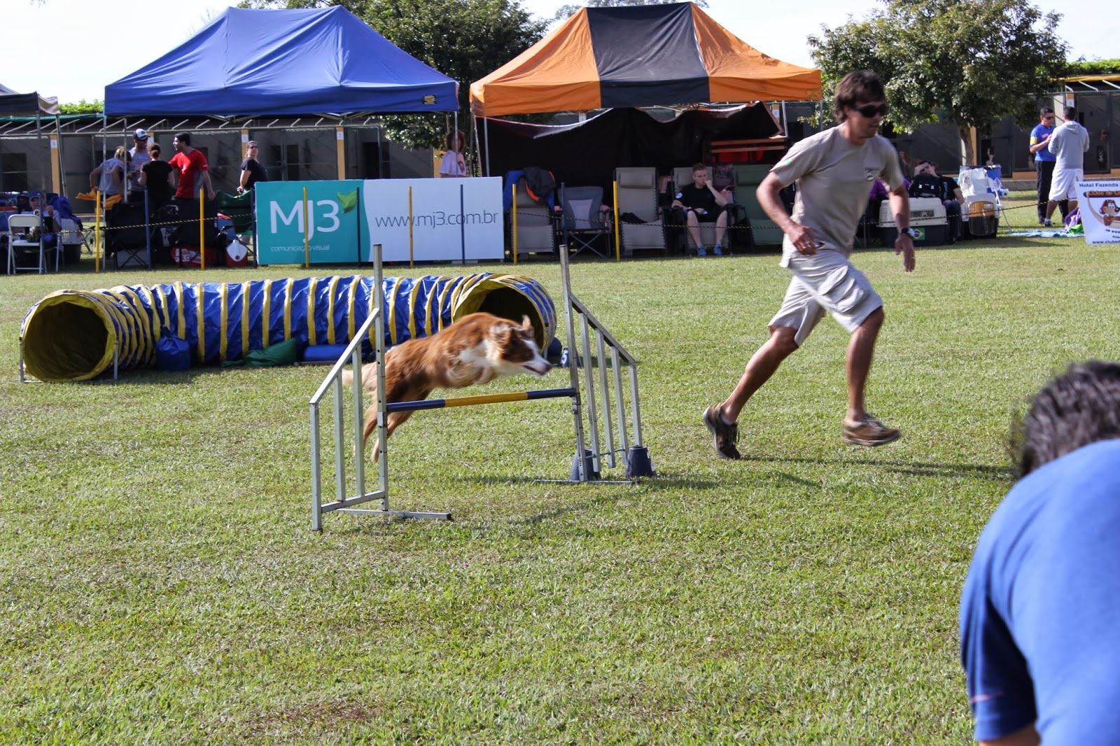 Clube de Cãompo Hotel Fazenda para Cachorros