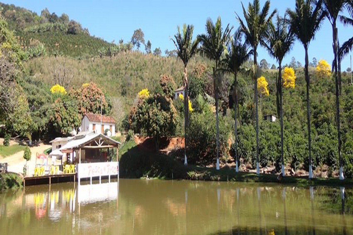 PESQUEIRO/RESTAURANTE PESCA E PROSA 