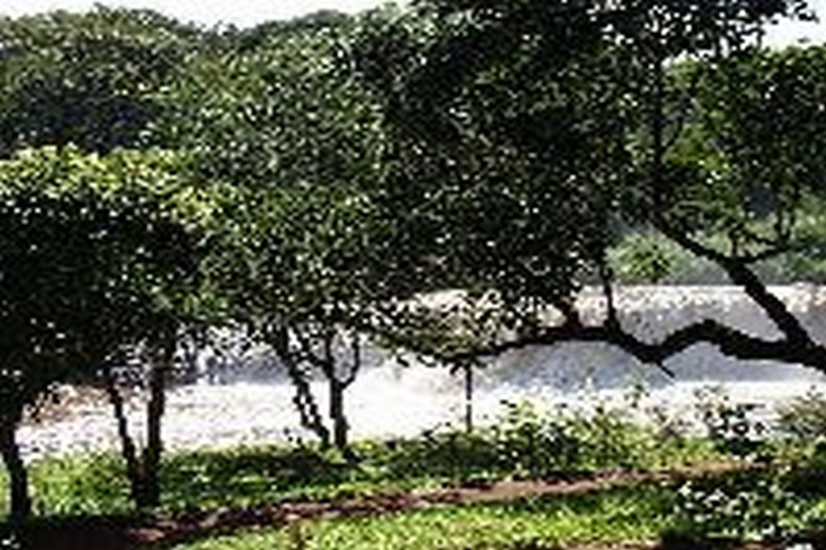  FOTOS: Fazenda das Pedras