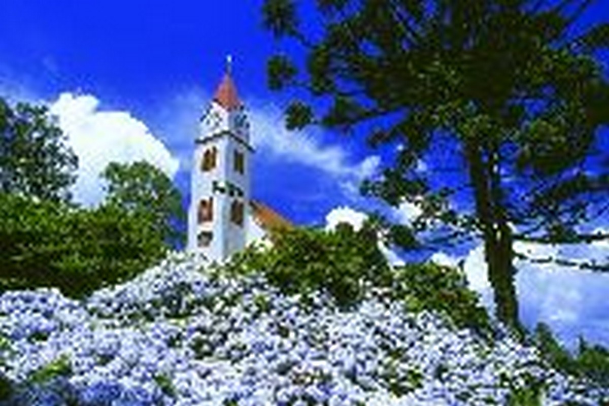  FOTO ACERVO - travel WHIZ 