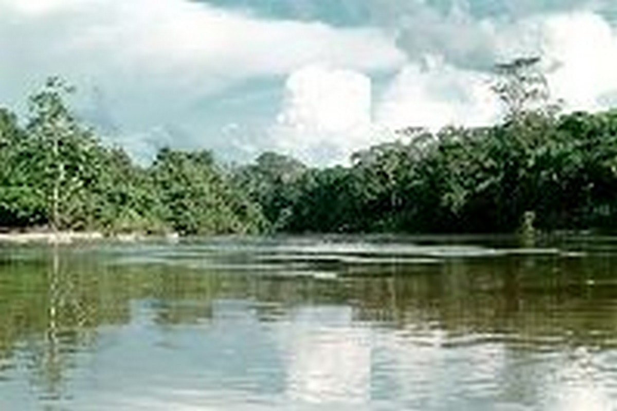  Rio Mucajaí - FOTO: Floresta Nacional de Roraima - Taylor Nunes