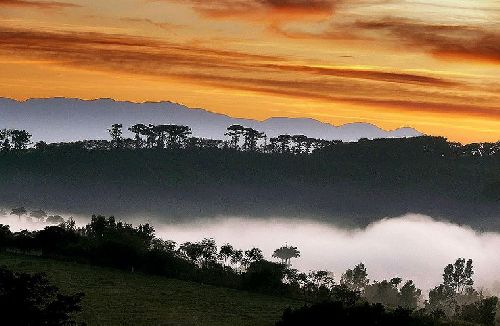  Fotos de Carlos Aliperti / Espírito Santo do Pinhal - SP