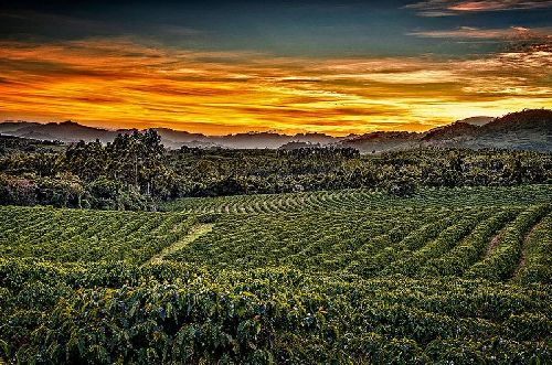  Fotos de Carlos Aliperti / Espírito Santo do Pinhal - SP