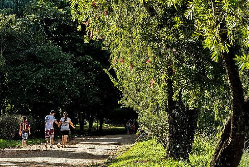  Fotos de Carlos Aliperti / Espírito Santo do Pinhal - SP