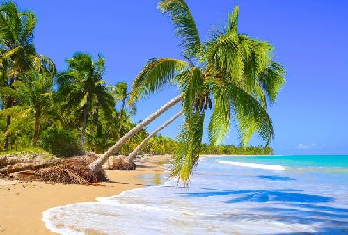 5 PRAIAS NORDESTINAS PARA AS SUAS FÉRIAS NESSE VERÃO 