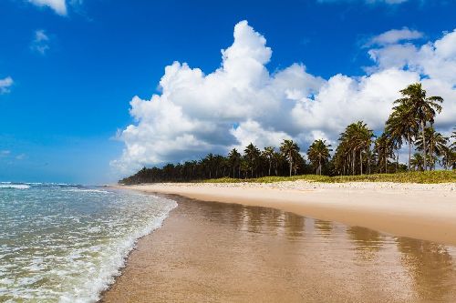 5 PRAIAS NORDESTINAS PARA AS SUAS FÉRIAS NESSE VERÃO 