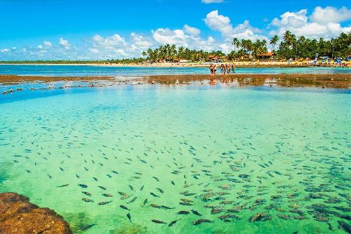 5 PRAIAS NORDESTINAS PARA AS SUAS FÉRIAS NESSE VERÃO 
