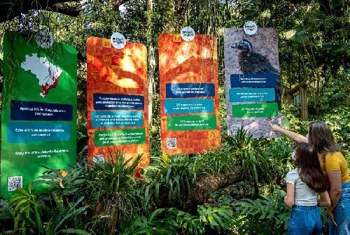FÉRIAS 2021: TRAGA AS CRIANÇAS PARA VER AVES DA MATA ATLÂNTICA 