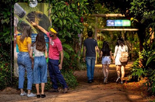 FÉRIAS 2021: TRAGA AS CRIANÇAS PARA VER AVES DA MATA ATLÂNTICA 