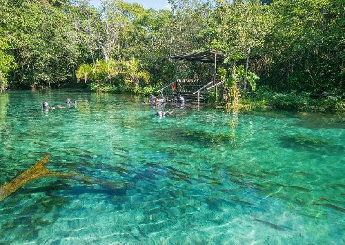 NASCENTE AZUL: PASSEIOS IMPERDÍVEIS PARA O VERÃO EM BONITO 