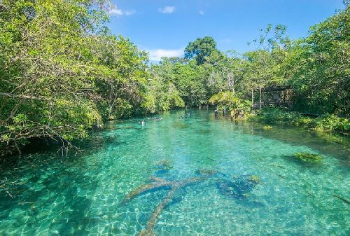 NASCENTE AZUL DESPERTA A CONSCIÊNCIA AMBIENTAL NAS CRIANÇAS 
