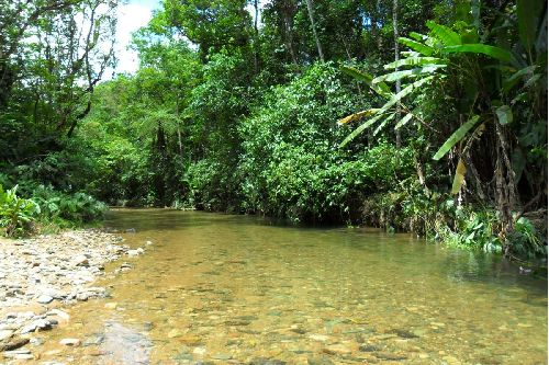 Um Dia no Parque: Dicas de 7 destinos protegidos que estarão abertos para visitação com atividades especiais para todos os públicos 