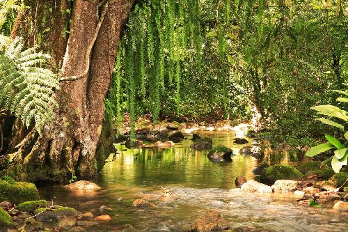 Um Dia no Parque: Dicas de 7 destinos protegidos que estarão abertos para visitação com atividades especiais para todos os públicos 