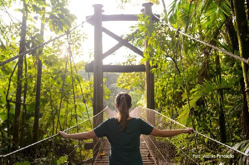 Um Dia no Parque: Dicas de 7 destinos protegidos que estarão abertos para visitação com atividades especiais para todos os públicos 