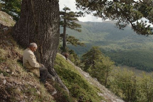 IL BUCO, UM FILME DE MICHELANGELO FRAMMARTINO, ESTREIA NO PRÓXIMO DIA 11/08 – LANÇAMENTO COMERCIAL 
