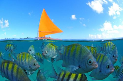 Porto de Galinhas é eleita um dos destinos mais acolhedores do mundo 