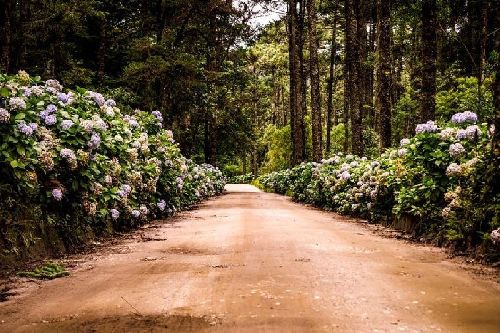 Campos do Jordão deve receber 80 mil visitantes no Carnaval 