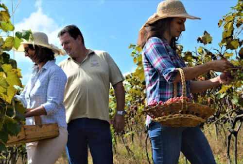 Jundiaí oferece história e natureza aconchegante no feriadão 