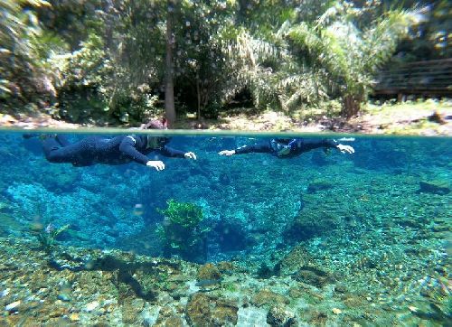 Bonito: proteção ambiental na Nascente Azul garante águas cristalinas em períodos de chuva 