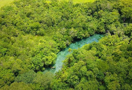 Bonito: proteção ambiental na Nascente Azul garante águas cristalinas em períodos de chuva 