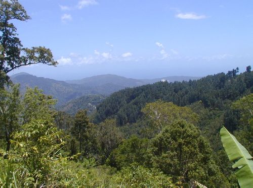 5 opções de turismo de aventura na Jamaica para uma escapada nas férias 