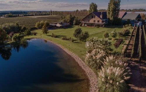 Viagem rápida e câmbio favorável transformam Argentina no destino preferido dos apreciadores de vinhos 