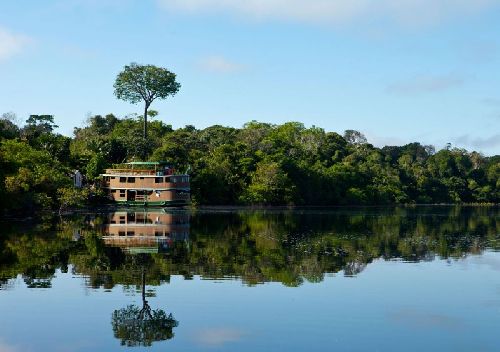 Semana do Meio Ambiente: de birdwatching a trilhas pela floresta, vivências para se conectar com a natureza em 2023 