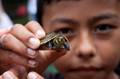 Semana do Meio Ambiente: de birdwatching a trilhas pela floresta, vivências para se conectar com a natureza em 2023 