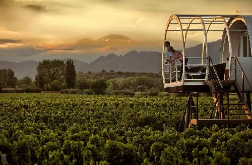Dia dos Namorados: romance entre os vinhedos de Mendoza 